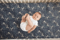 Load image into Gallery viewer, Arctic Owls Baby and Toddler Bedding - MookyPookyandMuffin