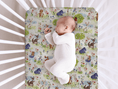 Load image into Gallery viewer, Fun in the 100 Acre Wood Baby and Toddler Bedding - MookyPookyandMuffin