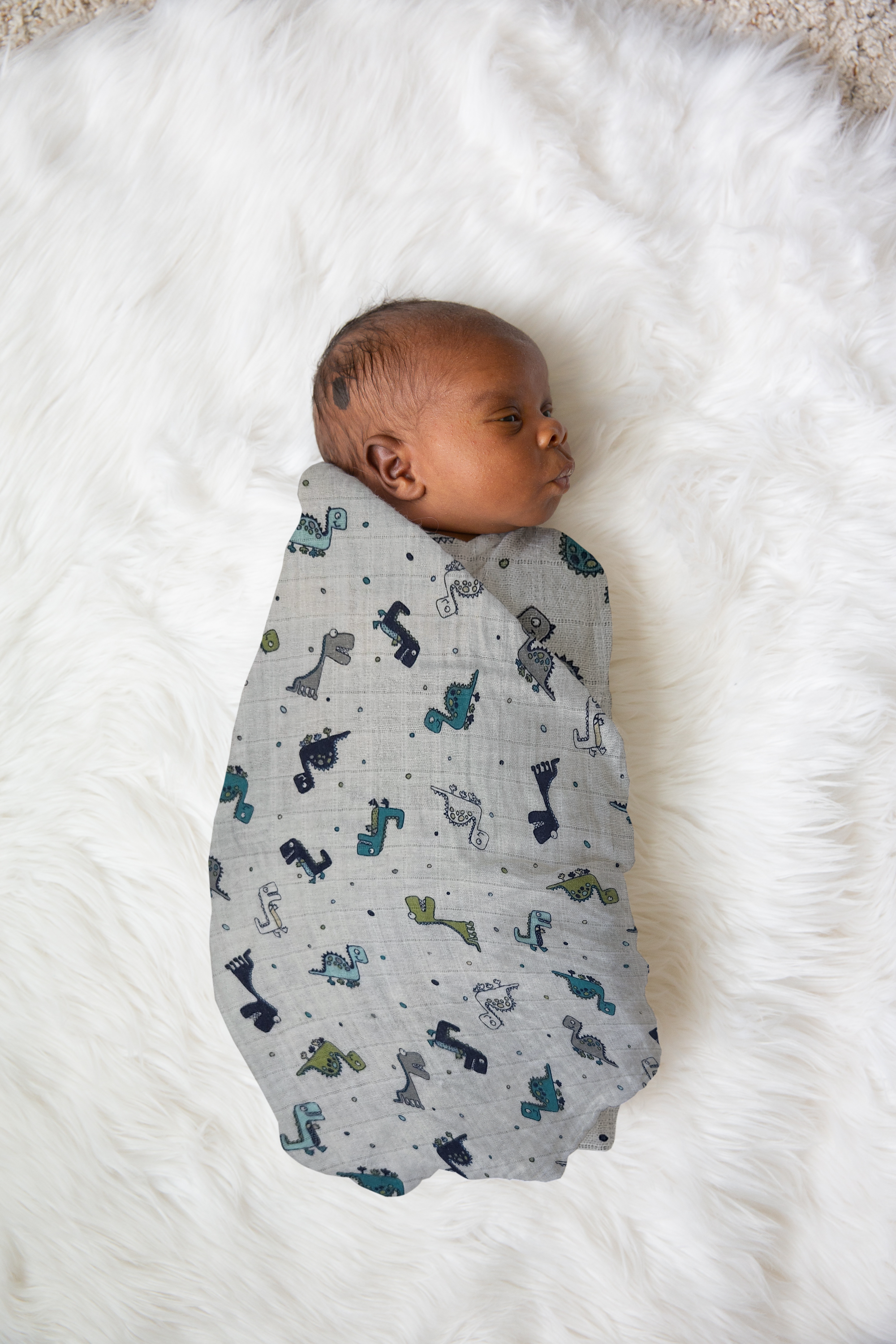 Dinosaurs are Cool! Swaddle Blanket