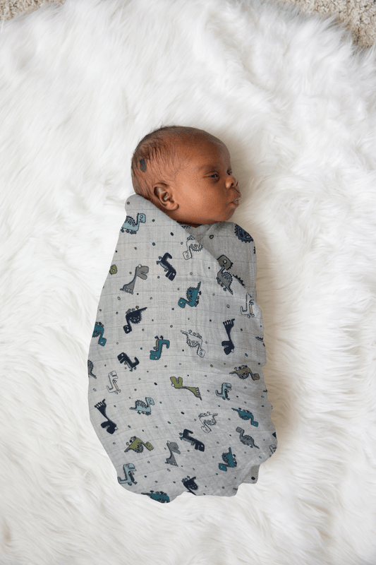 Dinosaurs are Cool! Swaddle Blanket - MookyPookyandMuffin