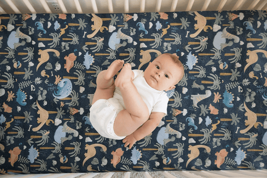 I Dig You Dinosaur Custom Baby and Toddler Bedding - MookyPookyandMuffin