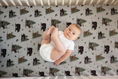 Load image into Gallery viewer, Into the Wilderness Baby and Toddler Bedding
