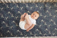 Load image into Gallery viewer, Arctic Owls Baby and Toddler Bedding
