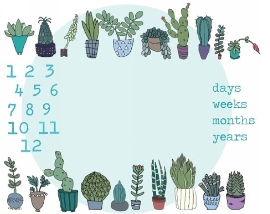 Succulent Baby Milestone Blanket - MookyPookyandMuffin